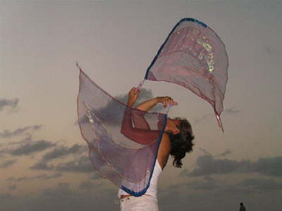 6 Goetterfunken Flags 2006